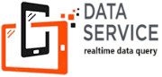 Data Service Logo